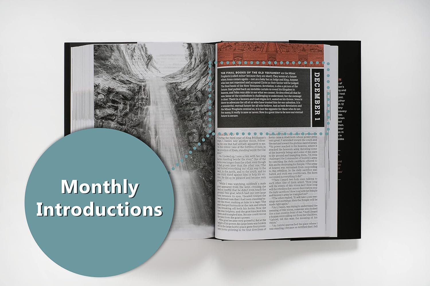 NLT The One Year Bible for Men, Hardcover