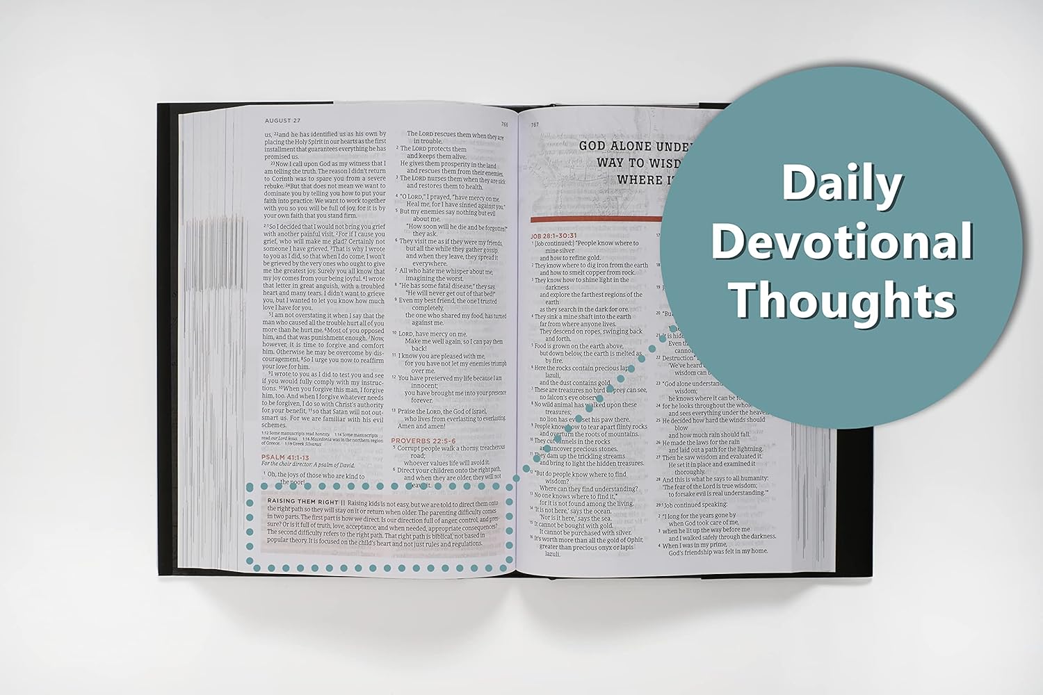 NLT The One Year Bible for Men, Hardcover