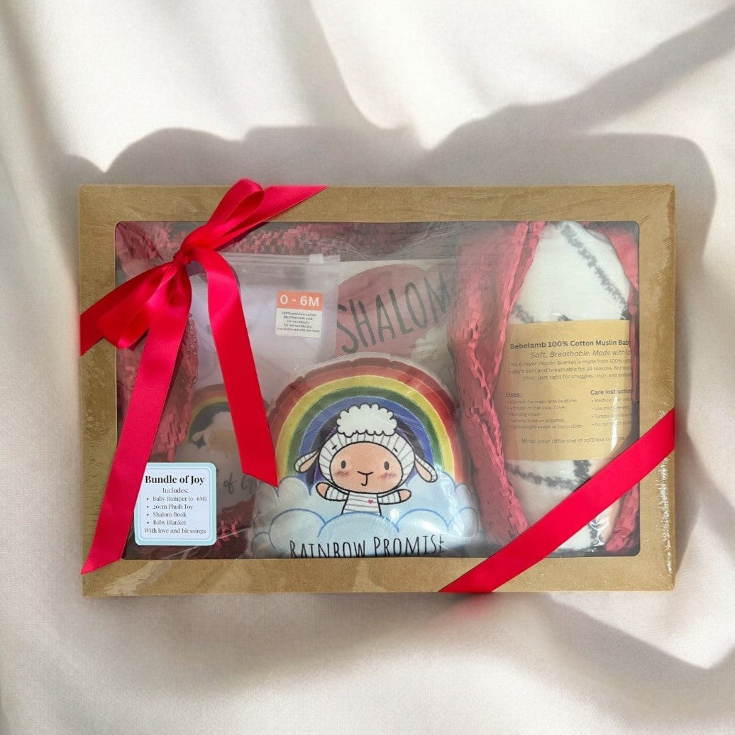 Baby Gift Bundle – Rainbow Promise by BebeLamb