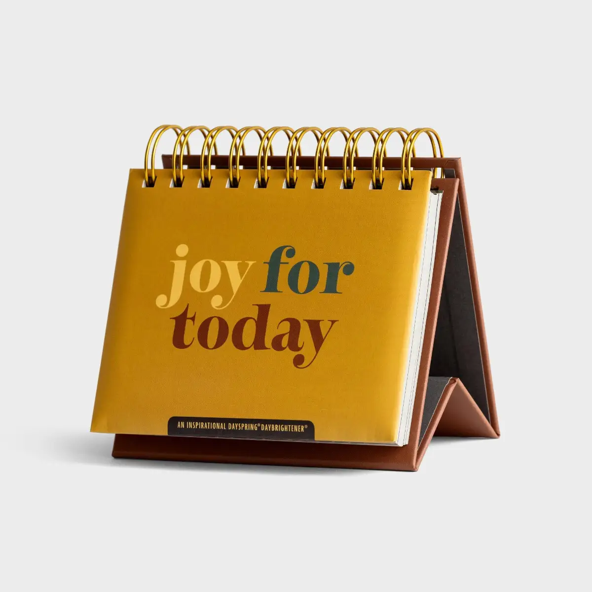 366 Day Perpetual Calendar, Joy for Today