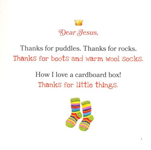 Thanks for Little Things: A Heart-to-Heart Talk with Jesus, boardbook