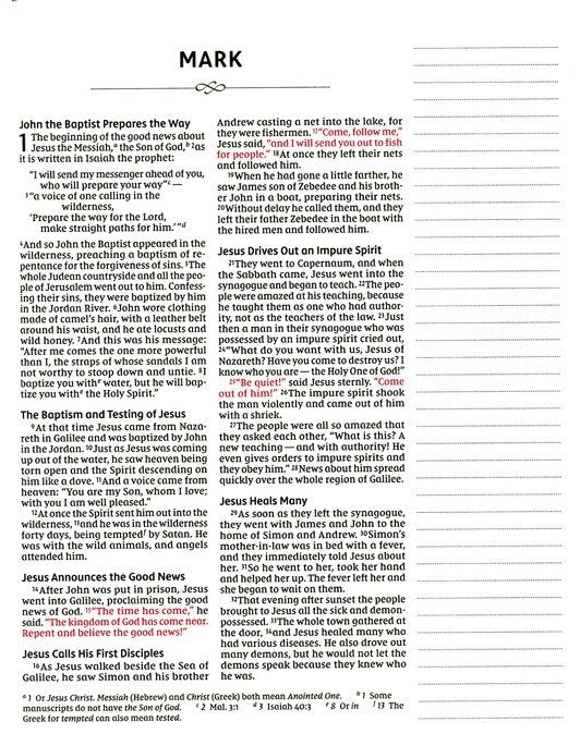 NIV Journal the Word Bible for Girls, Double-Column, Pink, Magnetic Closure, Hardcover