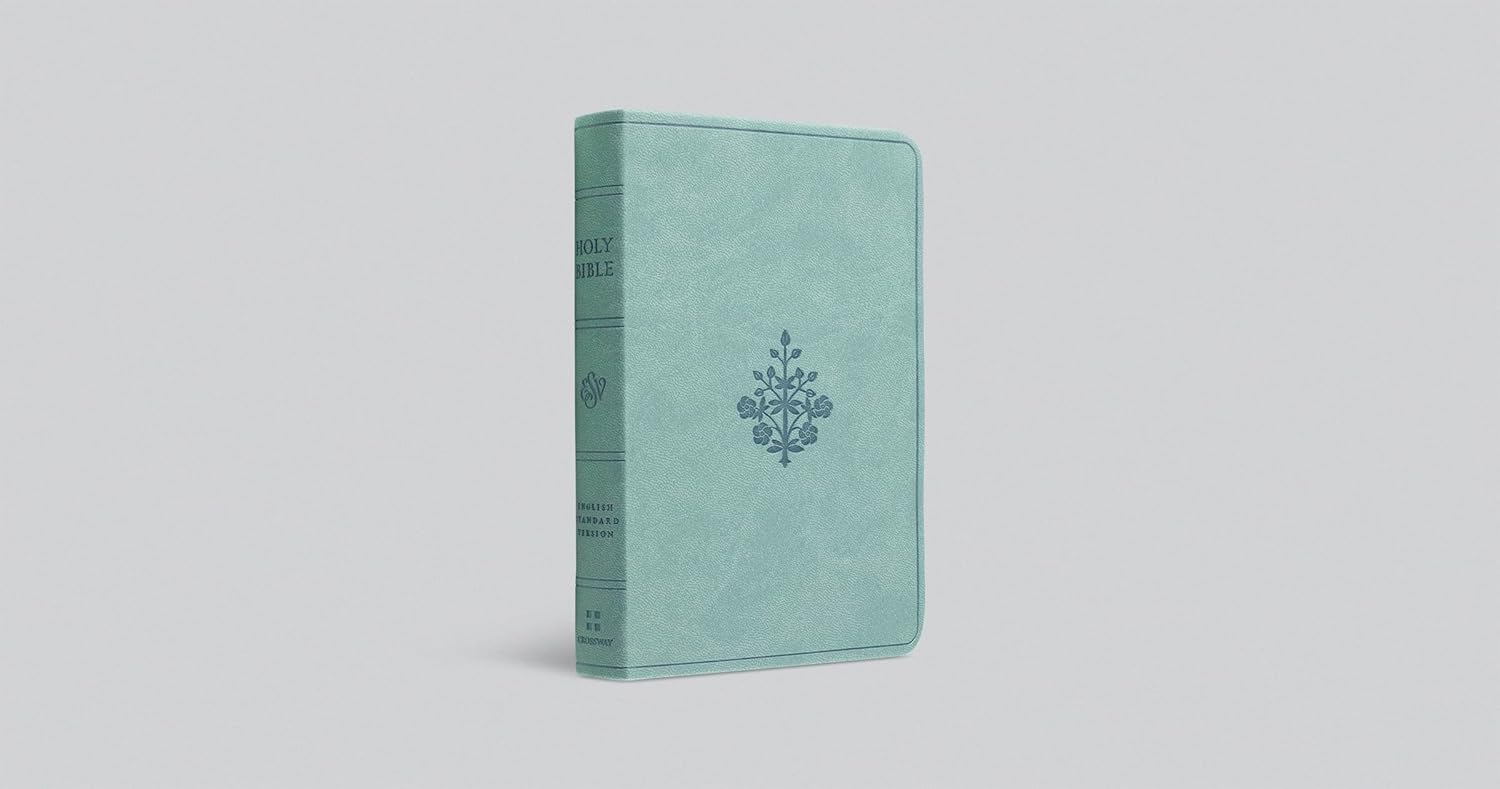 ESV Value Compact Bible, TruTone, Paris Sky, Branch