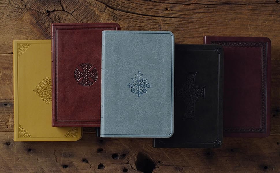 ESV Value Compact Bible, TruTone, Paris Sky, Branch