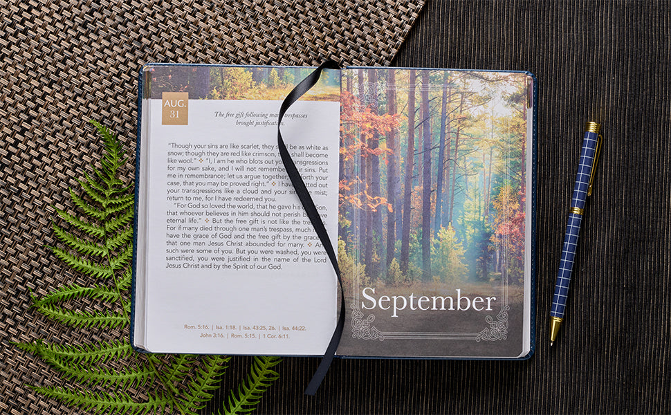 Devotional Daily Light for Men, Leathersoft