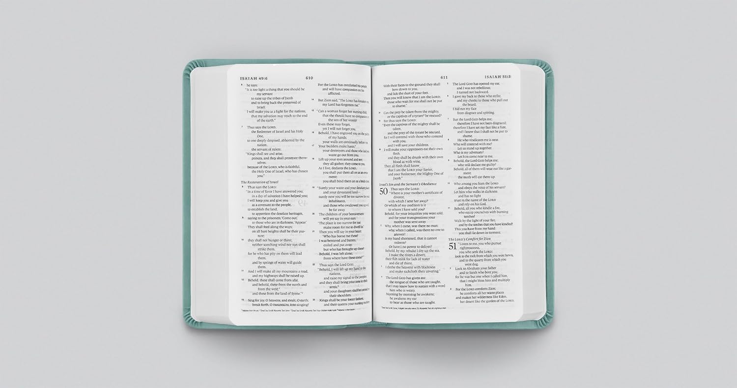 ESV Value Compact Bible, TruTone, Paris Sky, Branch