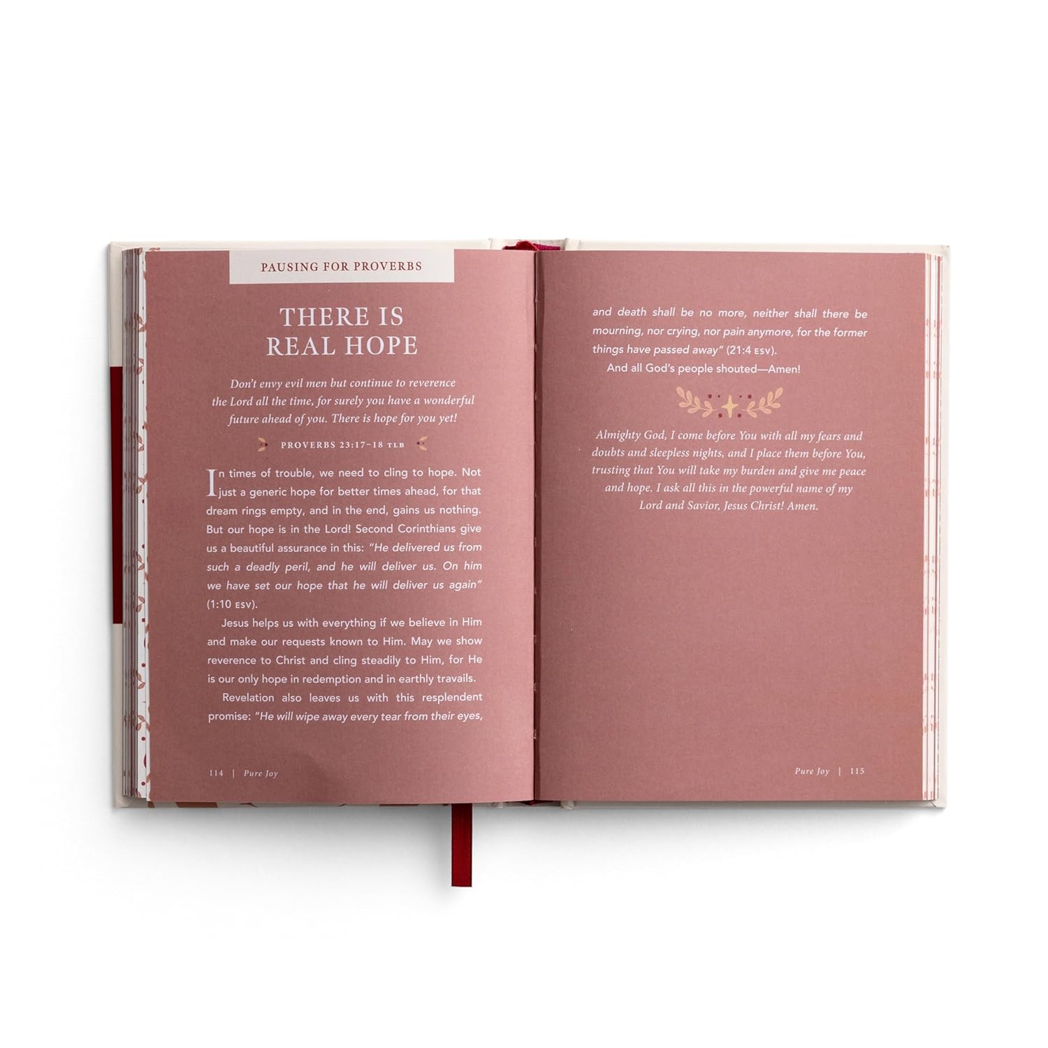 Pure Joy: 90 Devotions on the Book of James, hardcover