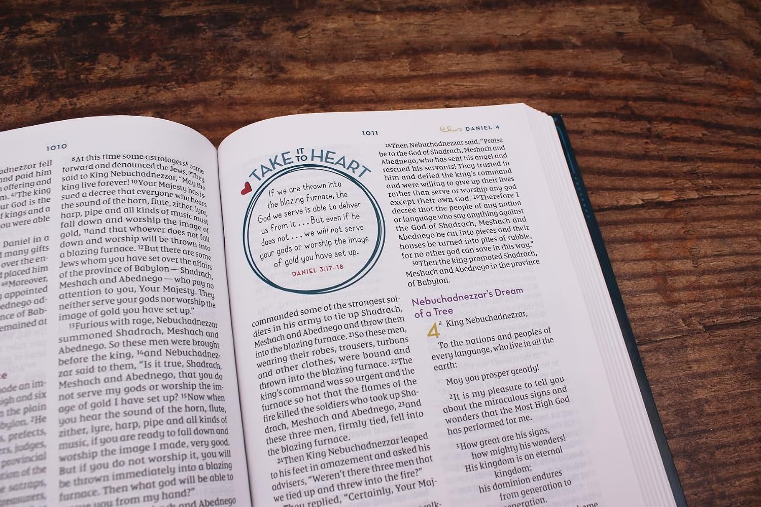 NIV Kingdom Girls Bible, Hardcover, Teal: Meet the Women in God's Story