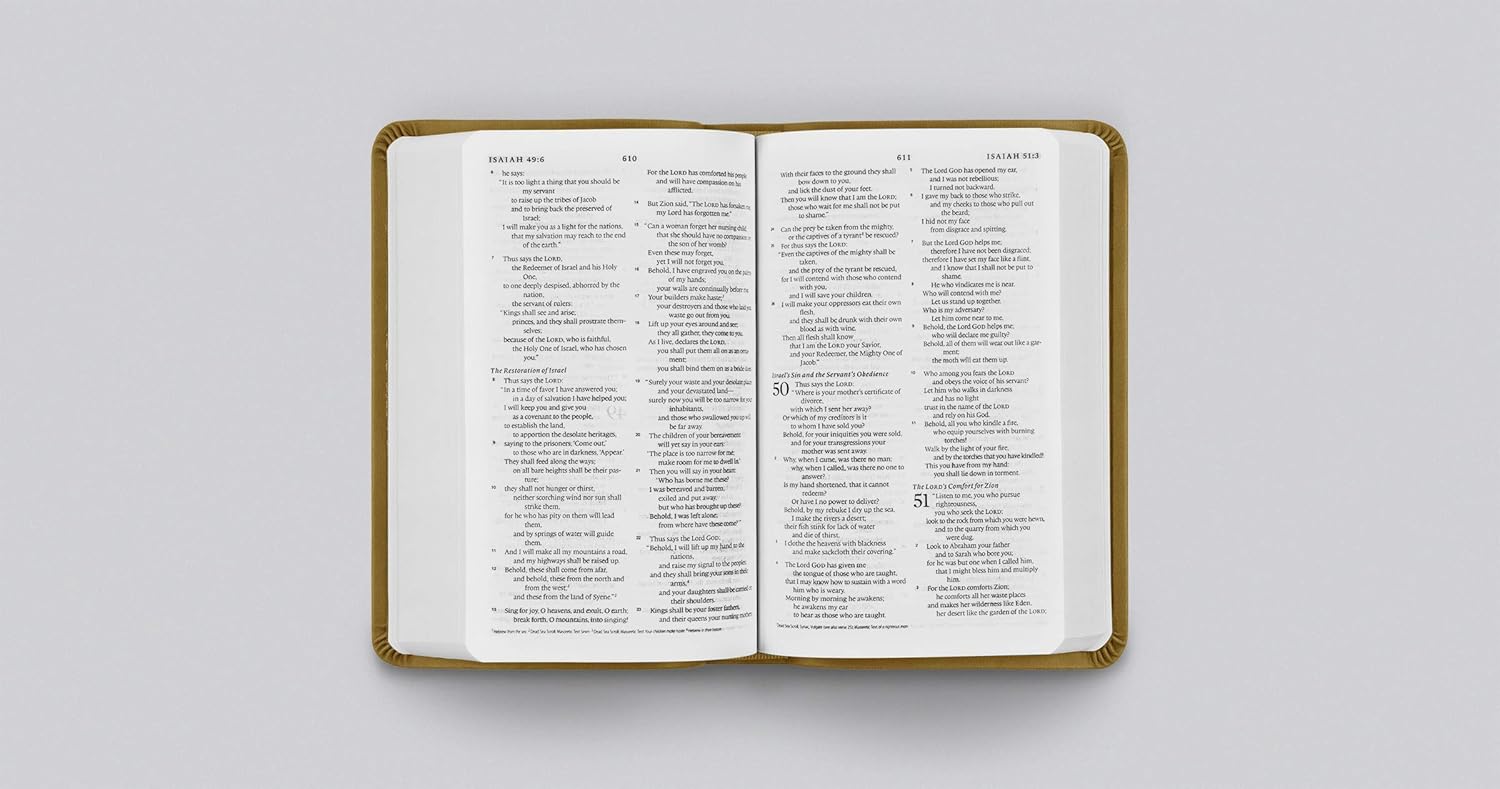 ESV Value Compact Bible, TruTone, Goldenrod, Ornament