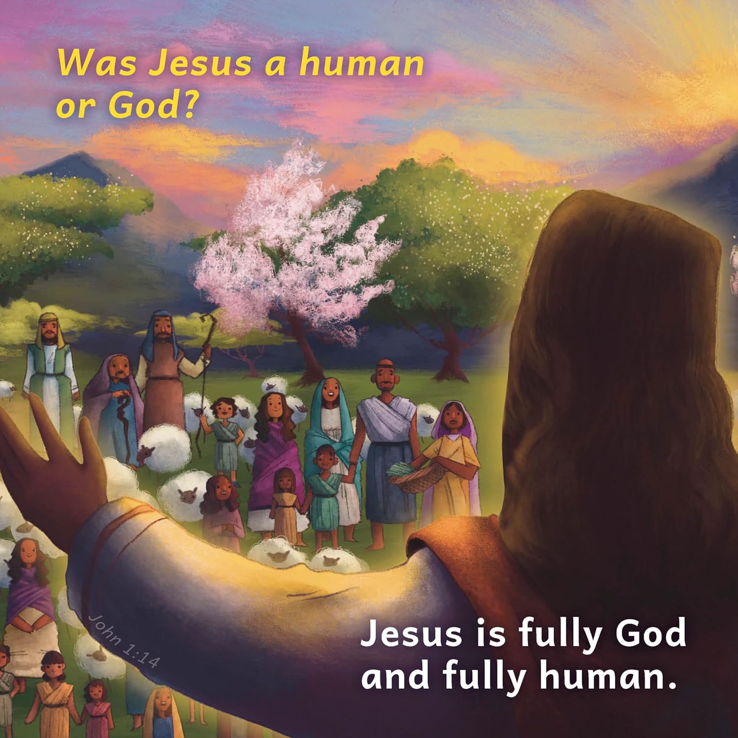 What's The Good News?: A Toddler Theology Book about Our Creator, Board book