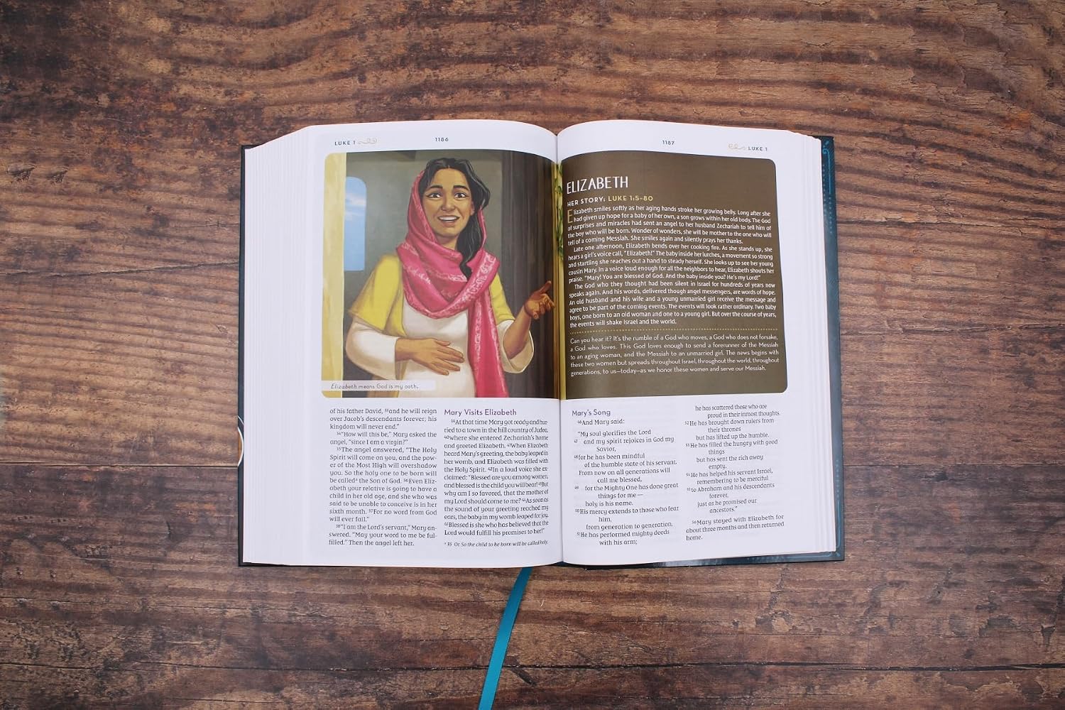 NIV Kingdom Girls Bible, Hardcover, Teal: Meet the Women in God's Story