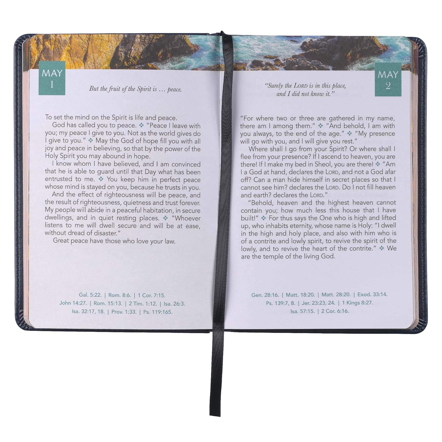 Devotional Daily Light for Men, Leathersoft