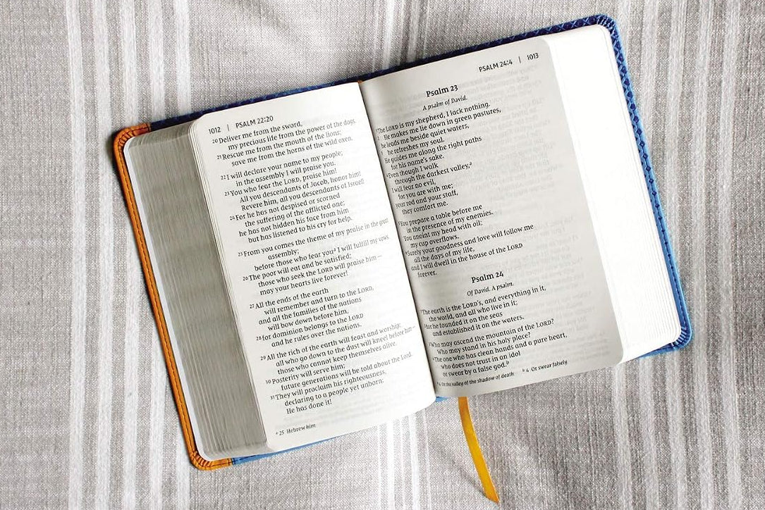 NIV Giant Print Compact Bible for Boys, Leathersoft Blue