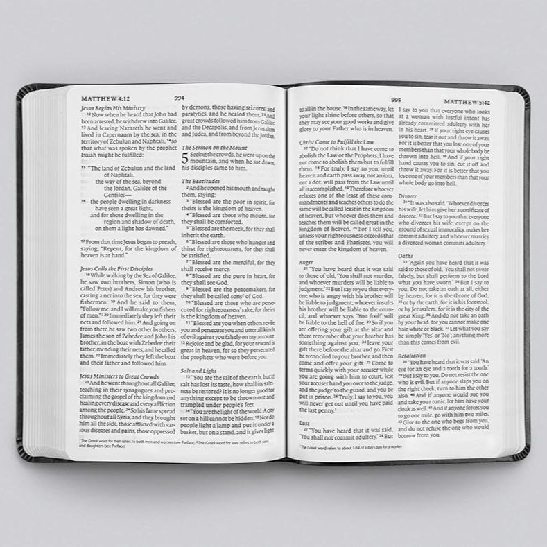 ESV Large Print Value Thinline Bible, TruTone, River Stone, Branch Design