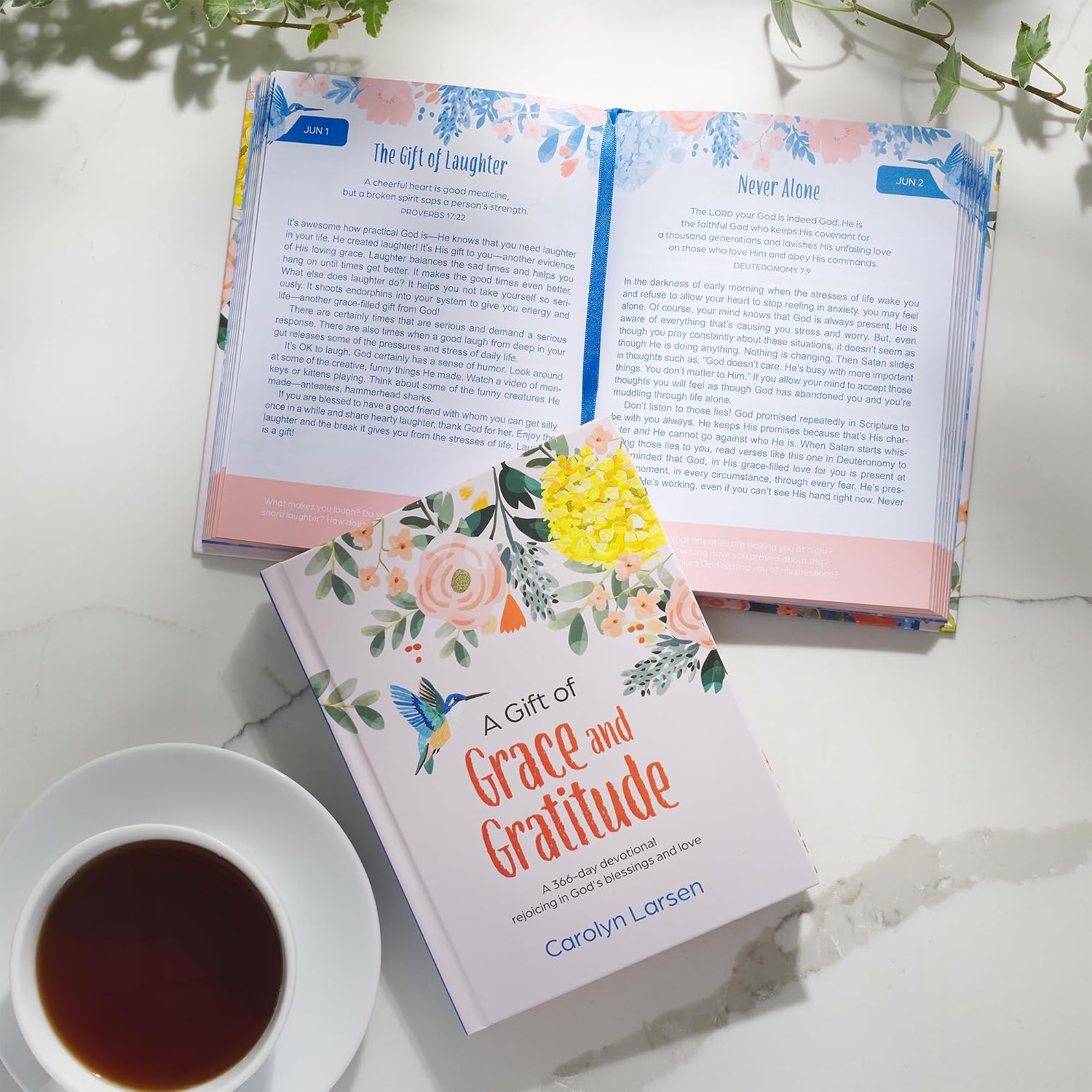 A Gift of Grace and Gratitude: A 366-Day Devotional Rejoicing in God's Blessings and Love