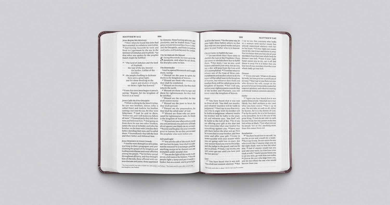 ESV Large Print Value Thinline Bible, TruTone Mahogany/Border