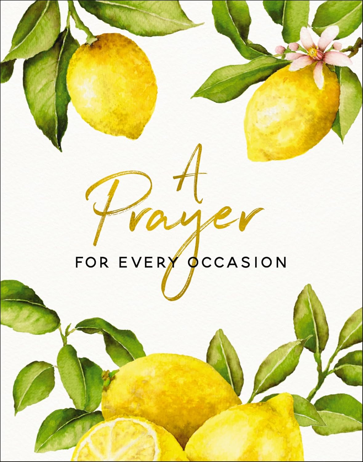 A Prayer for Every Occasion: A Collection of Inspiration (Hardcover)