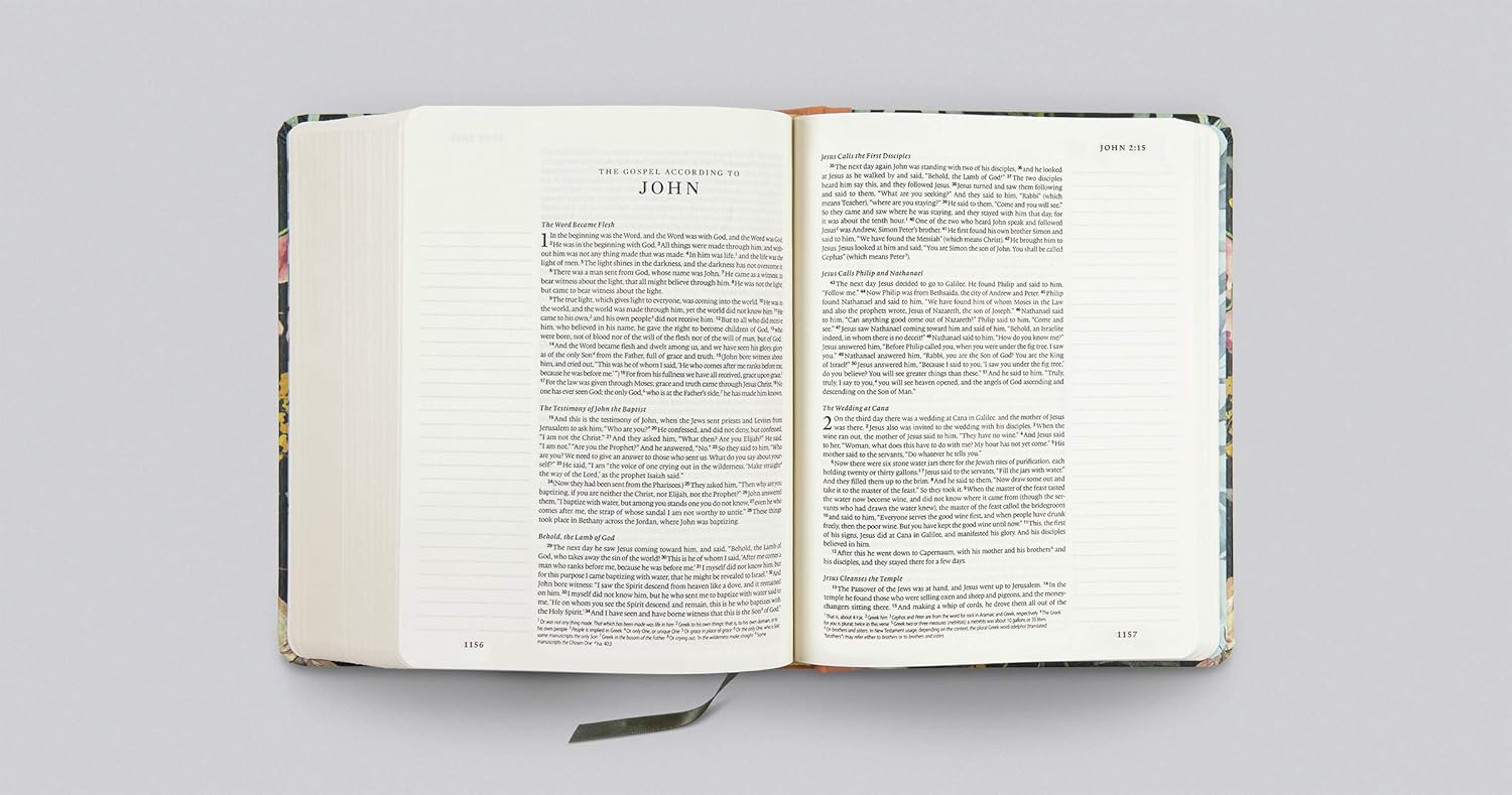 ESV Single Column Journaling Bible, Artist Series (Ruth Chou Simons, Be Transformed), hardcover