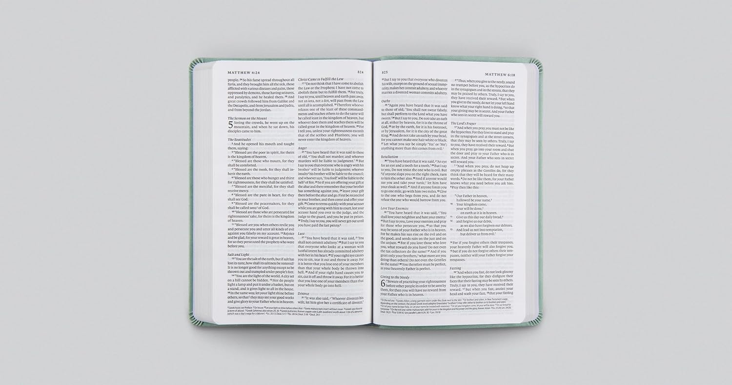 ESV Value Thinline Bible, Leather-look, Paris Sky, Fleur-de-lis