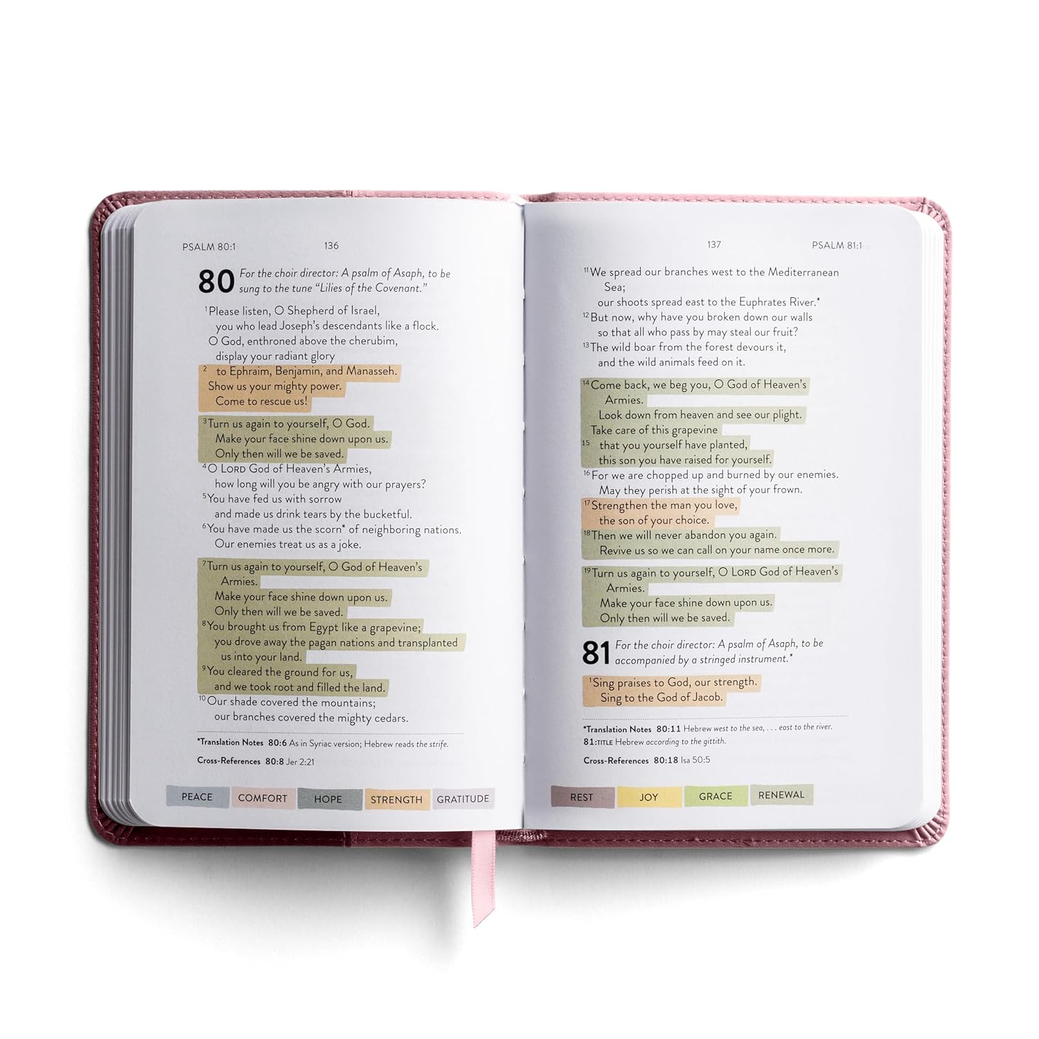 Sanctuary in the Psalms, NLT Scripture Book, Pink Leathersoft