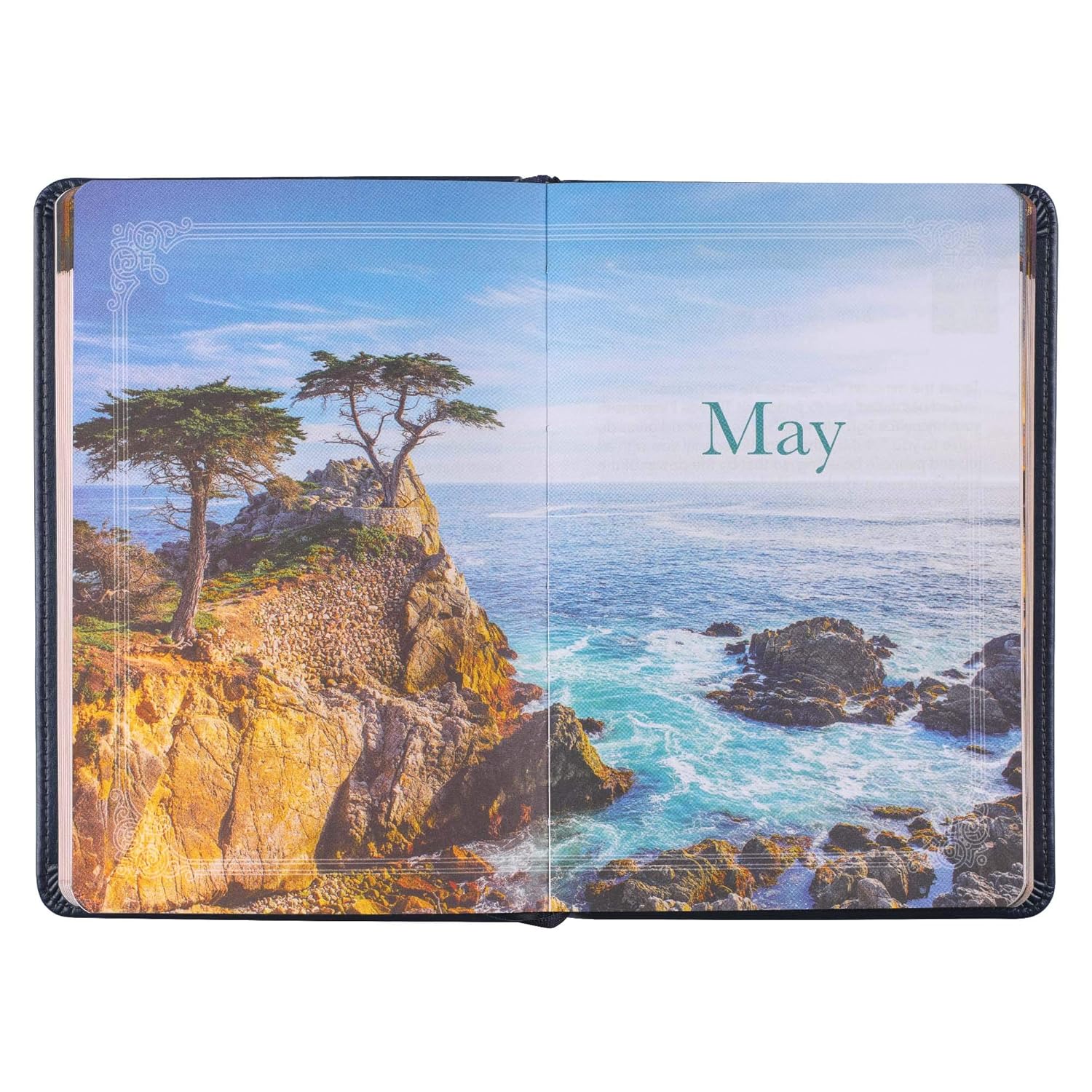 Devotional Daily Light for Men, Leathersoft