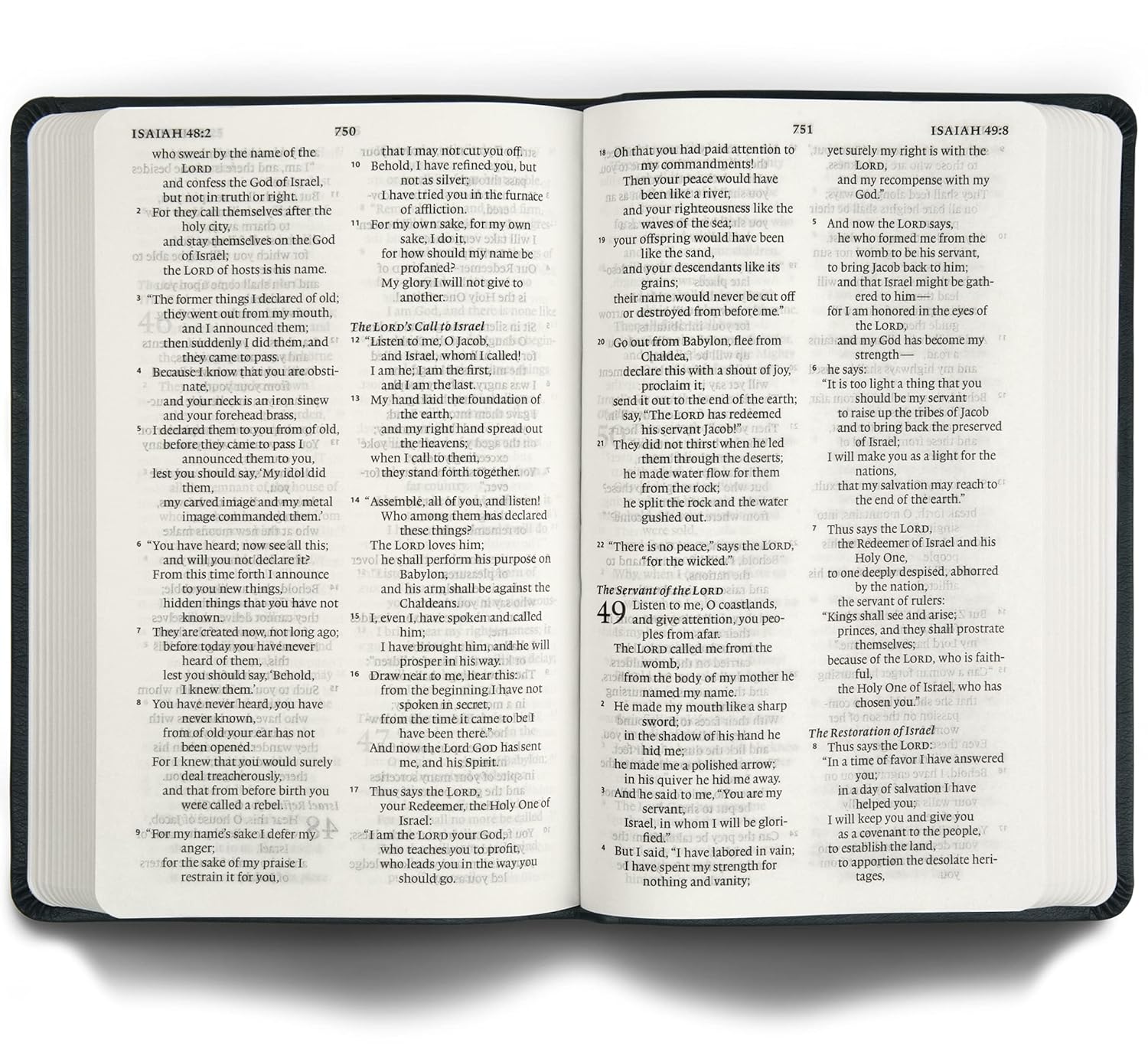 ESV Large Print Value Thinline, TruTone, Camel