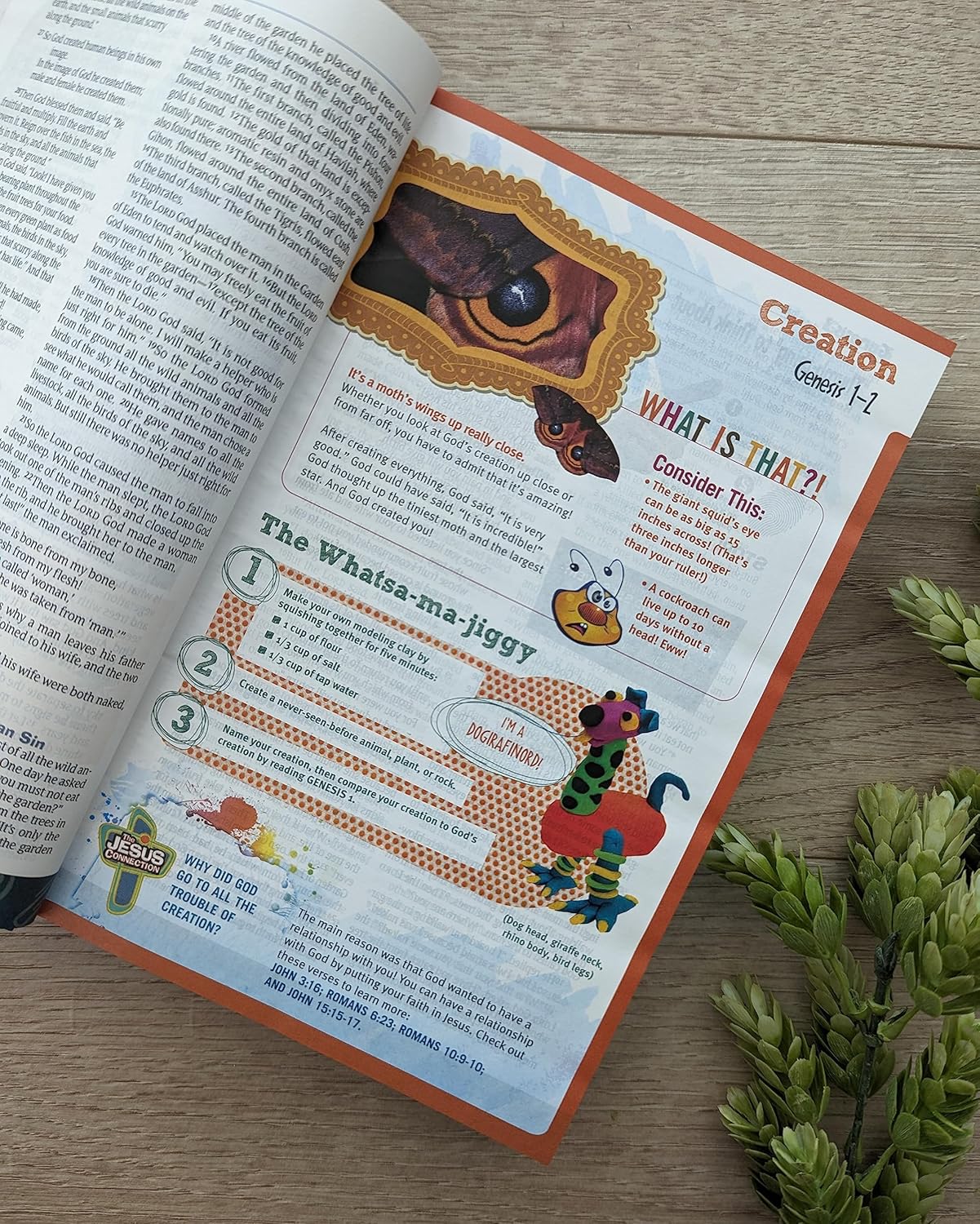 NLT Hands-On Bible, 3rd Edition, Hardcover