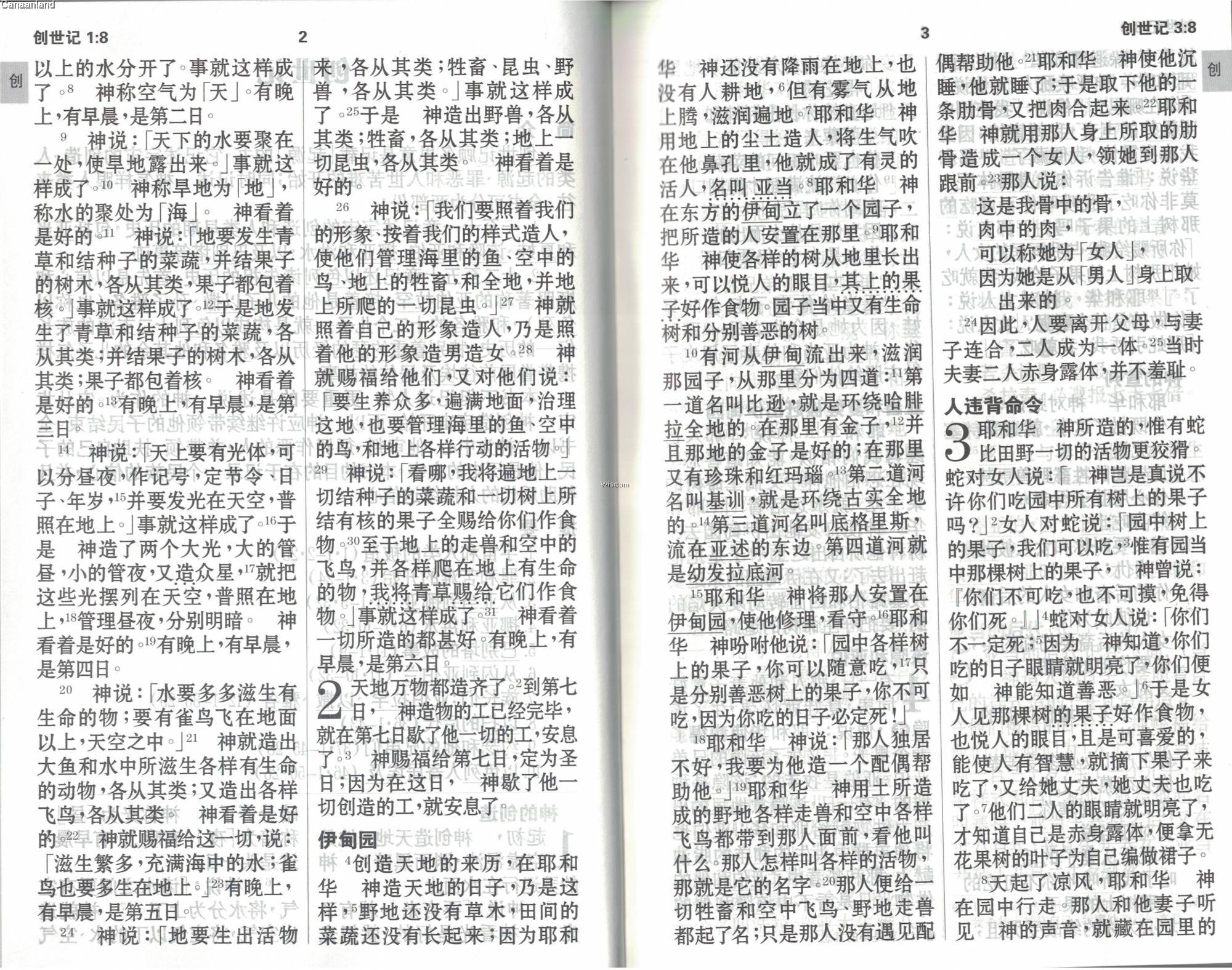 Simplified Chinese Bible CUV Large Print Blue 新标点和合本，蓝色, 大字版