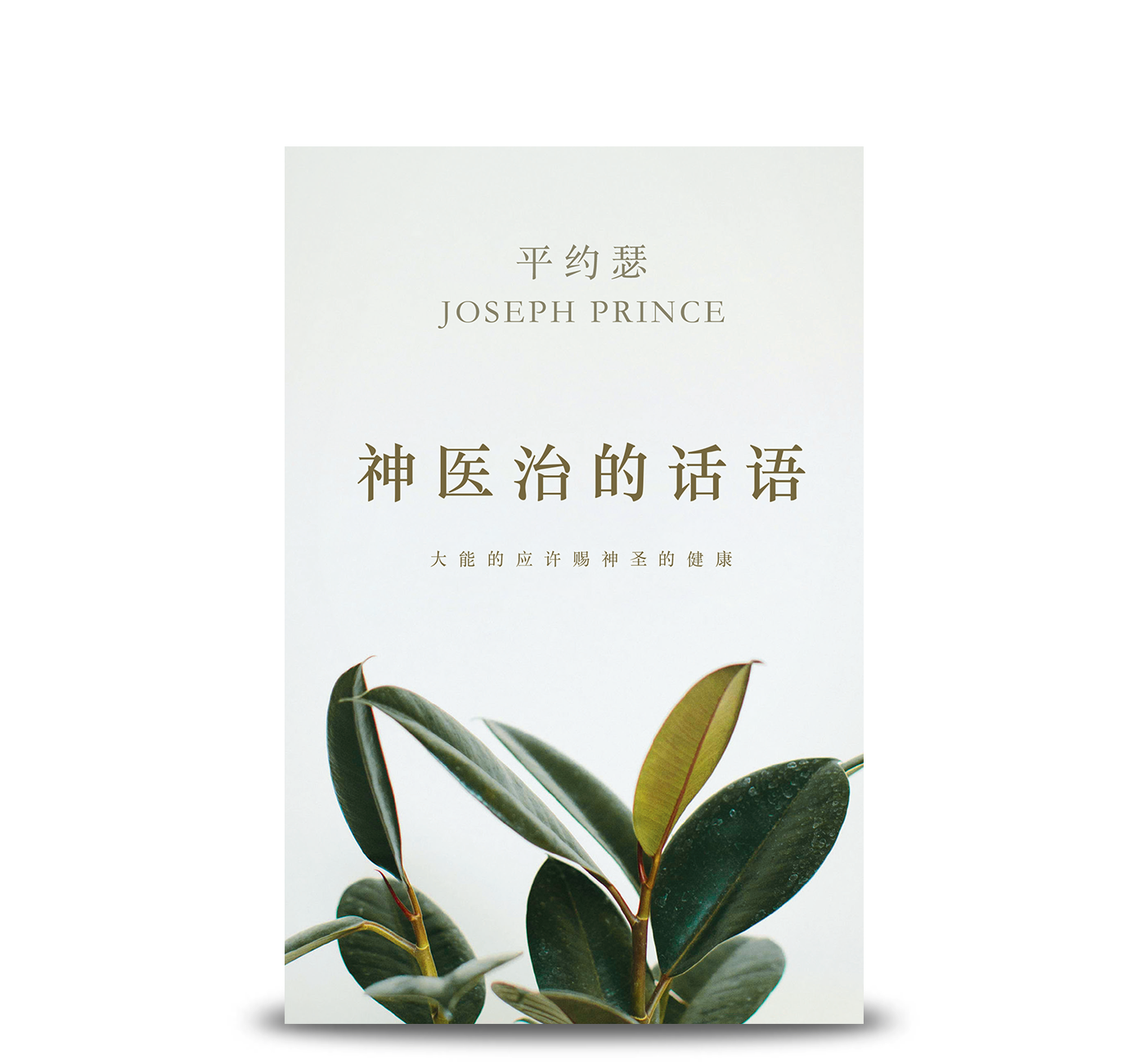 神医治的话语 Healing Scriptures (Simplified Chinese)