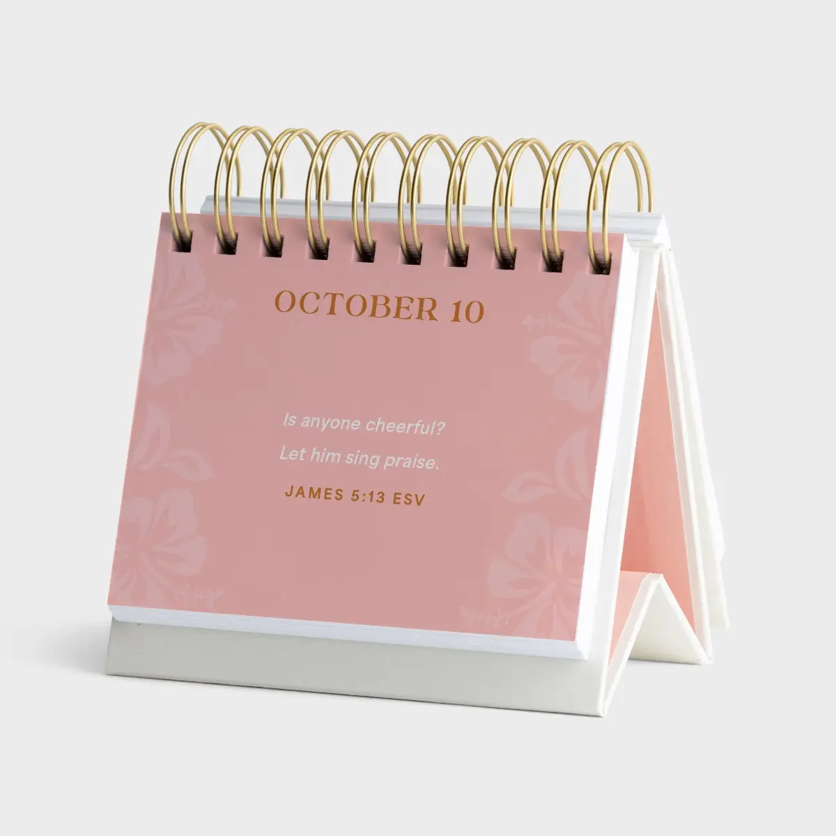 Hot Rollers & The Holy Spirit, Perpetual Calendar