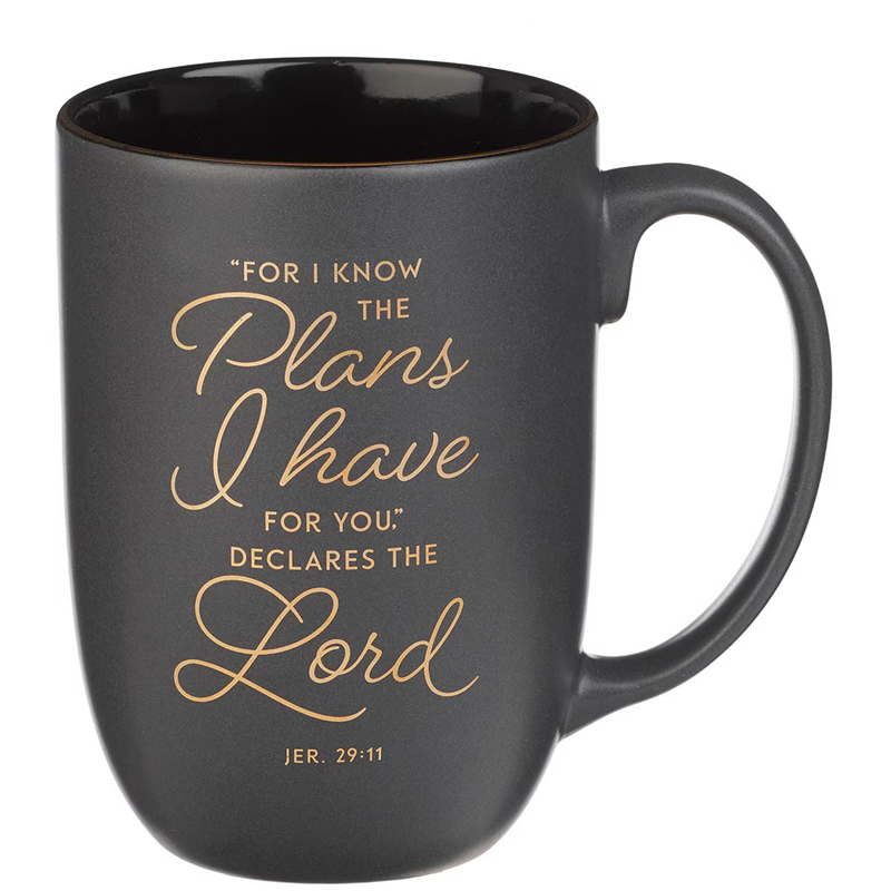Ceramic Mug, I Know the Plans, Graphite Gray