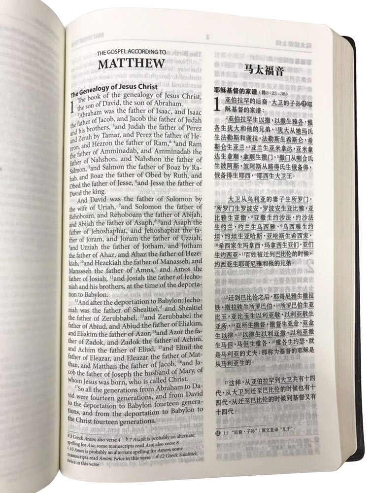 Bilingual ESV-RCUV Large Print Bible Blue, Simplified Chinese 简体中英对照圣经