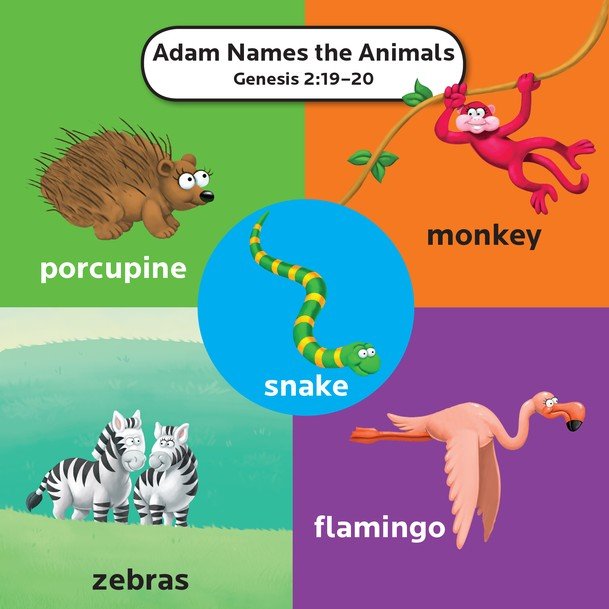 The Beginner's Bible First 100 Animal Words, Boardbook