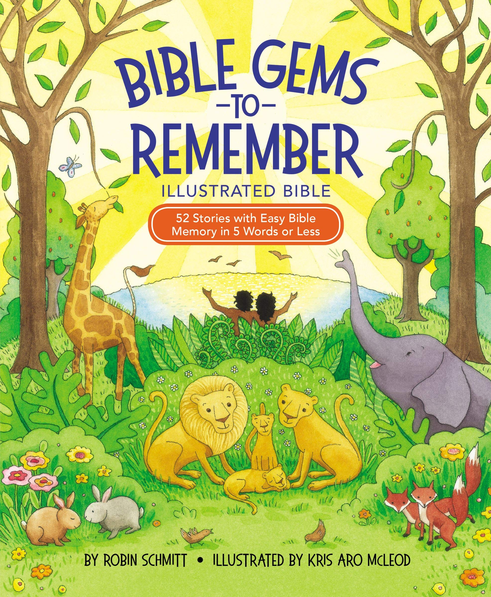 Bible Gems to Remember Illustrated Bible (Hardcover)