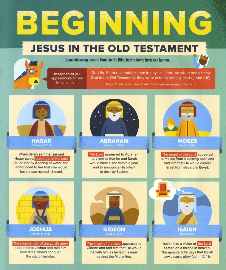 Bible Infographics for Kids: Epic Guide to Jesus: Samaritans, Prodigals, Burritos, and How to Walk on Water (hardcover)