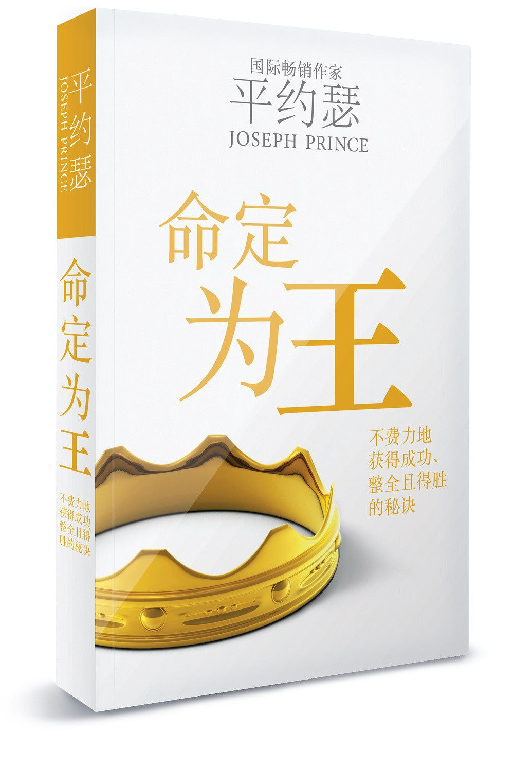 命定为王(Destined To Reign – Simplified Chinese) — Rock  Gifts  Book Centre