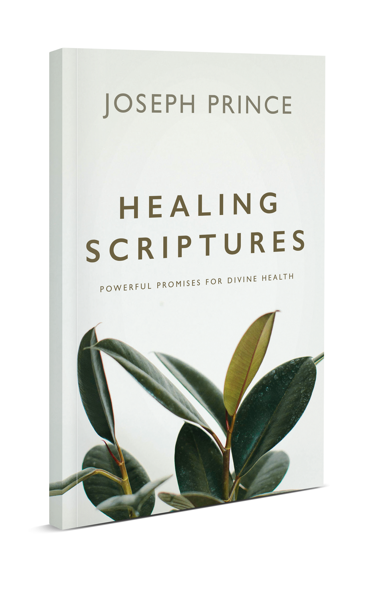 Healing Scriptures With Soaking Music - atfzgkc